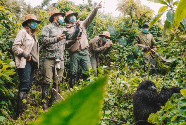 13 Days Uganda Safari – Gorilla Trekking, Chimpanzee Tracking & Wildlife Adventure