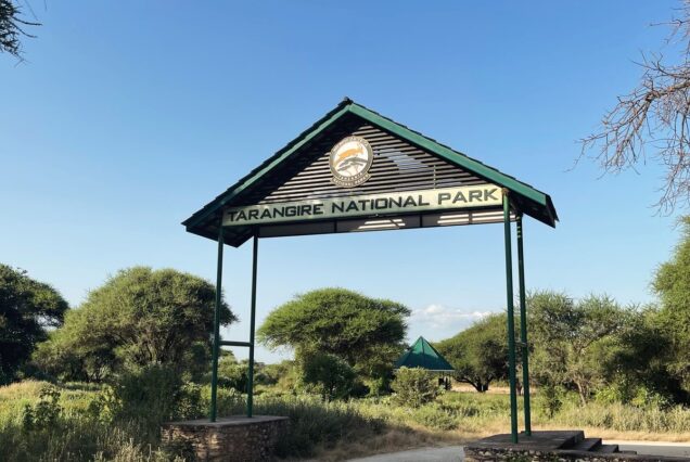 4-Days Tarangire-Serengeti-Ngorongoro Unforgettable Tanzania Safari Adventure