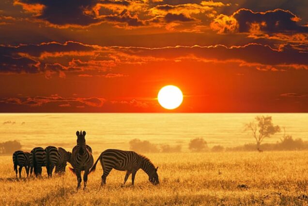 13 Days, 12 Nights Kenya Safari Adventure – Best Kenya Safari Tours