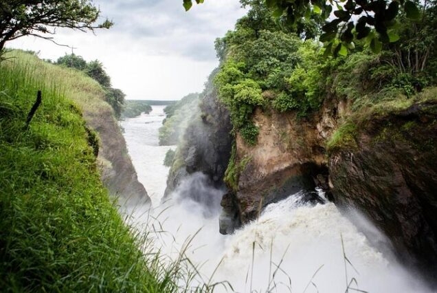 5 Days Murchison Falls – Chimpanzee, Rhinos, Bird Watching, Sport Fishing, Game Drive And Boat Cruise